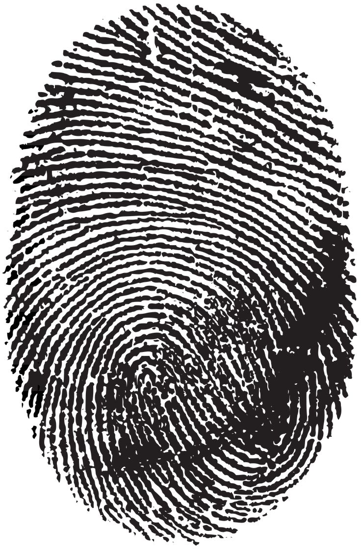 a fingerprint is shown in black and white