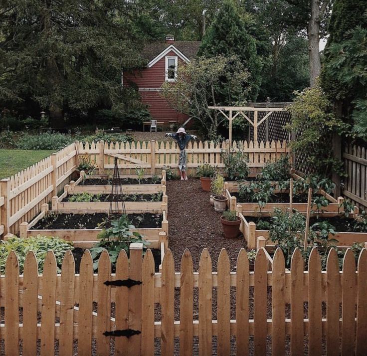 an outdoor garden with wooden fences and plants