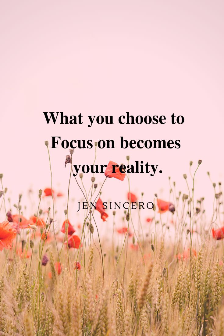 a field full of red flowers with the quote what you choose to focus on becomes your reality