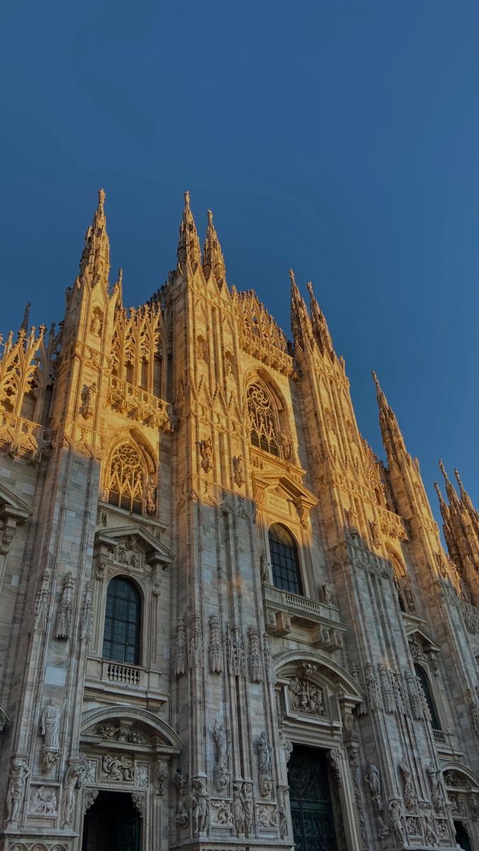 the large cathedral has intricate carvings on it's sides and is lit up at night