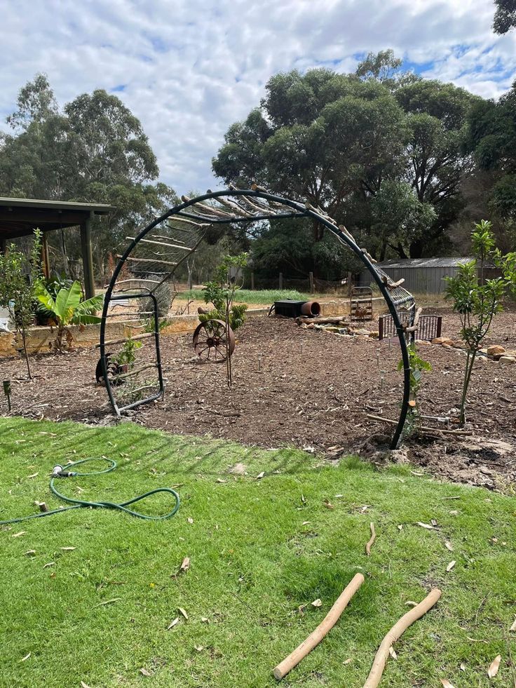 an outdoor garden area with various plants and animals in the background, surrounded by green grass