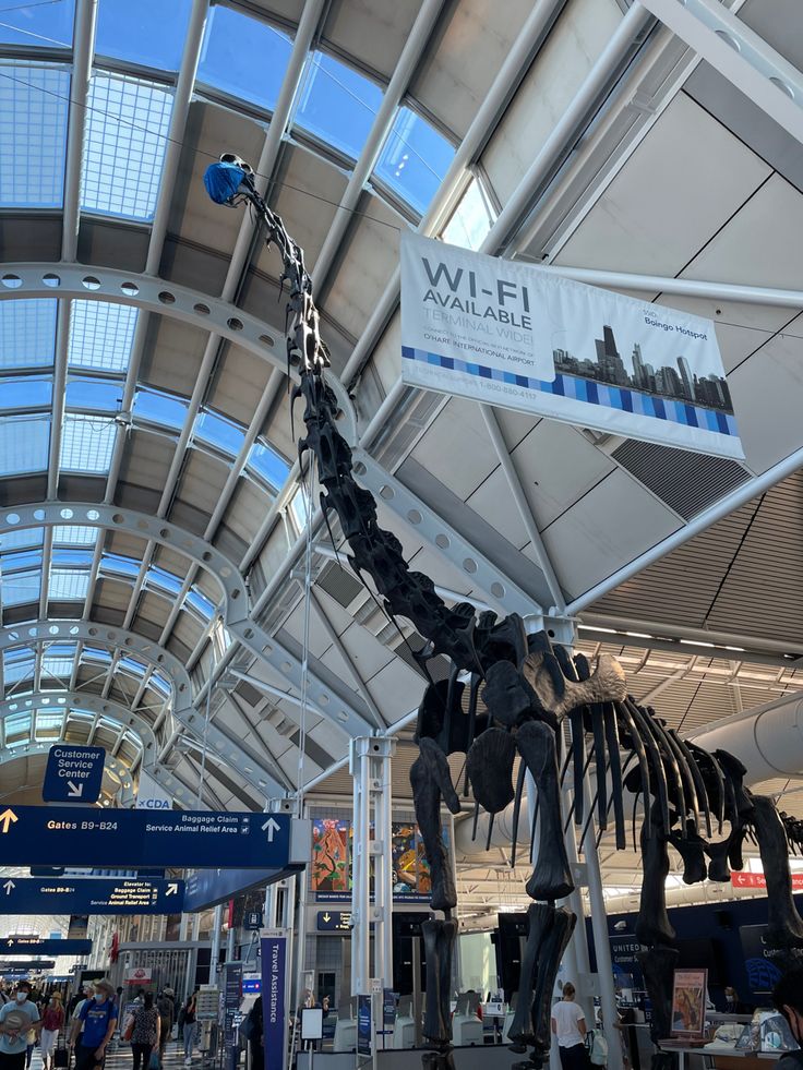 a large dinosaur skeleton hanging from the ceiling