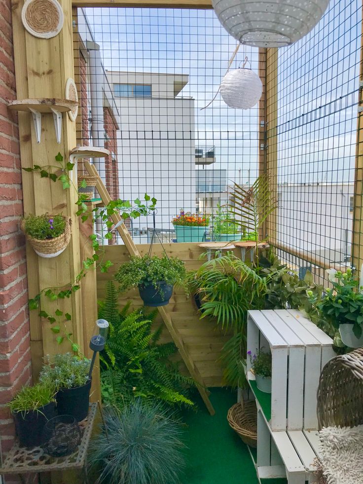 an outdoor area with plants and potted plants on the stairs to the roof deck