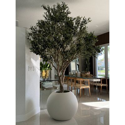 a potted tree sitting in the middle of a room next to a dining table