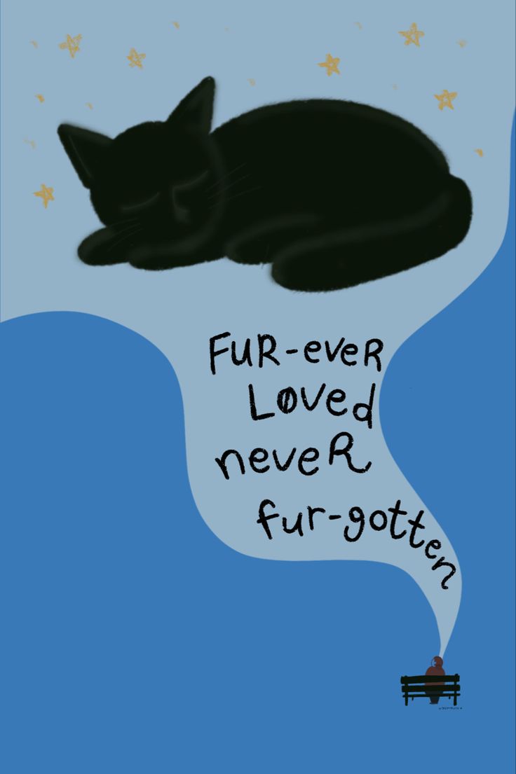 a black cat laying on top of a bench next to the words fur - ever loved never forgotten