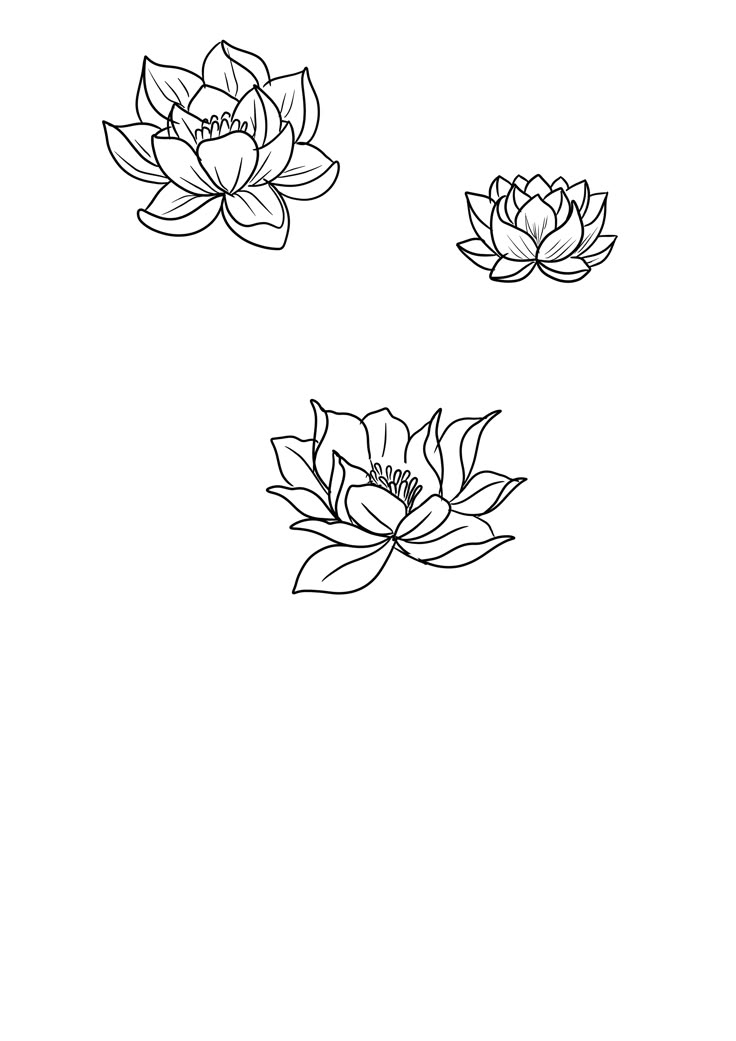 three water lilies floating on top of each other