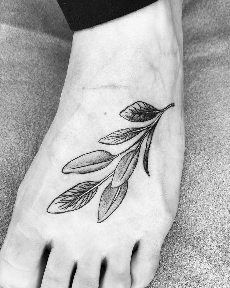 a black and white photo of a foot with leaves on it