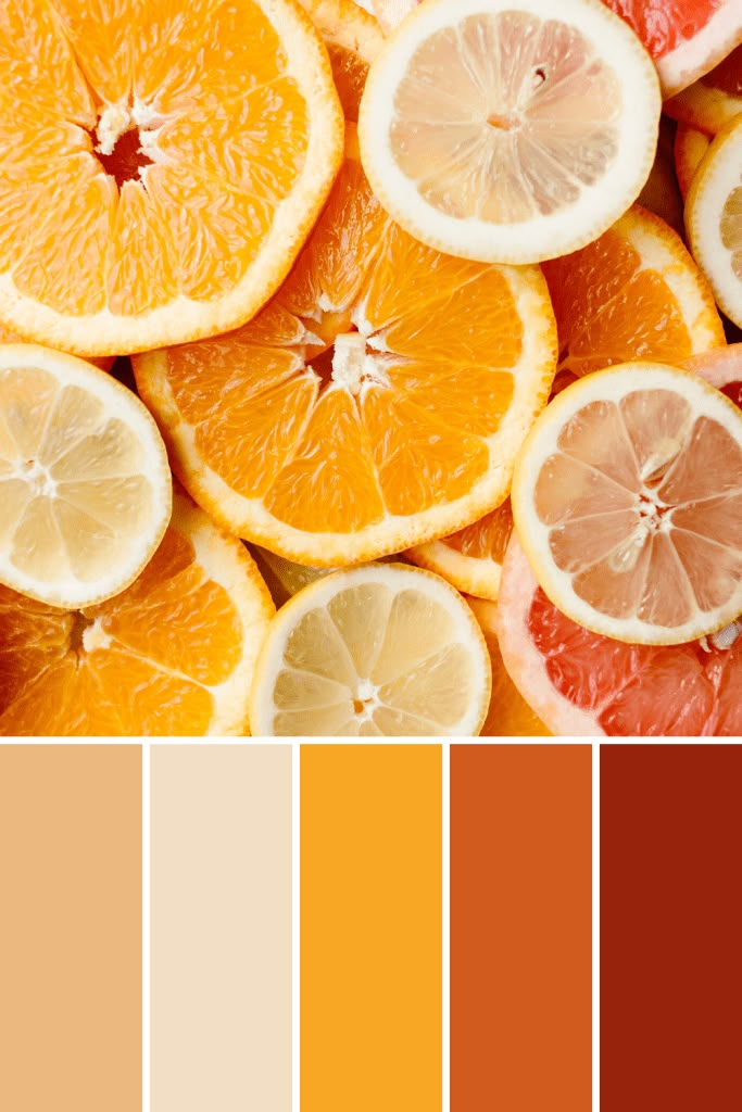 an assortment of oranges, lemons and grapefruits are arranged in a color palette