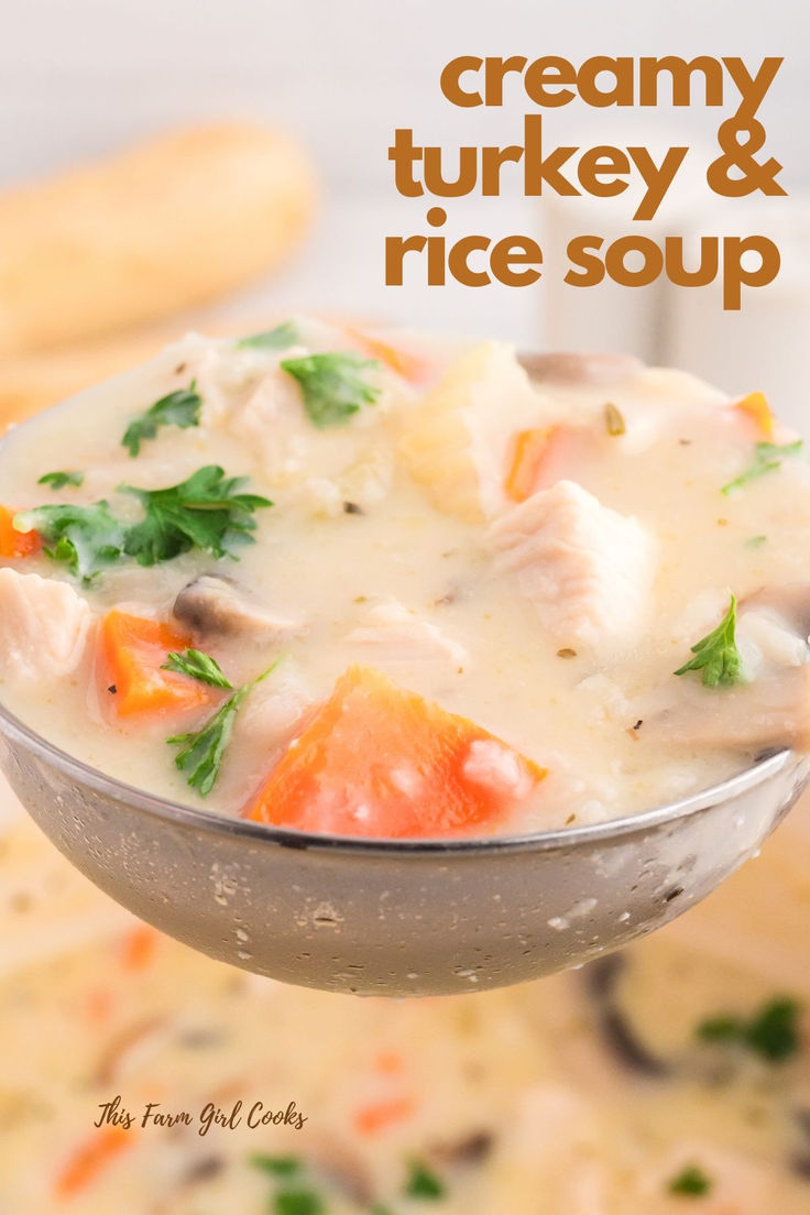 creamy turkey and rice soup in a bowl