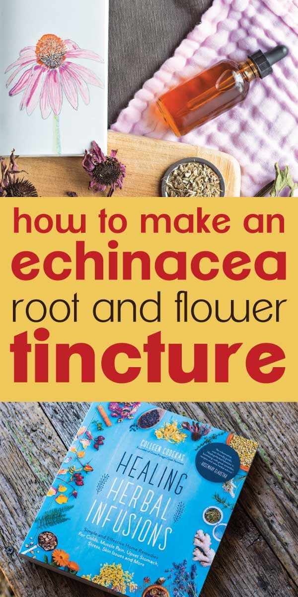 a book with the title how to make an echinea root and flower tincture