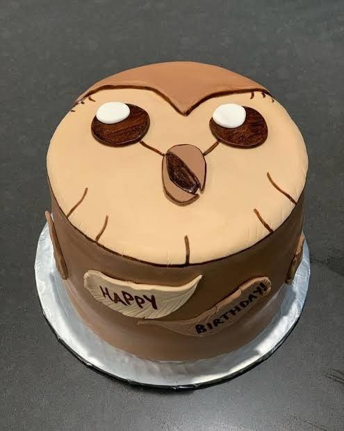 a birthday cake decorated to look like an owl