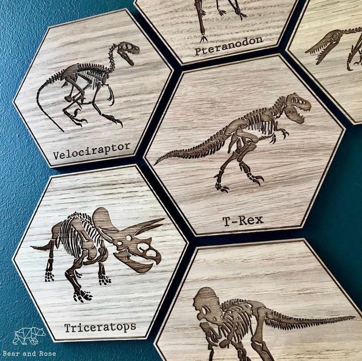 four wooden coasters with different types of dinosaurs and their names on them in hexagon shapes