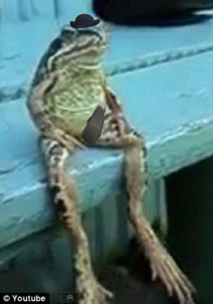 a frog sitting on top of a wooden bench