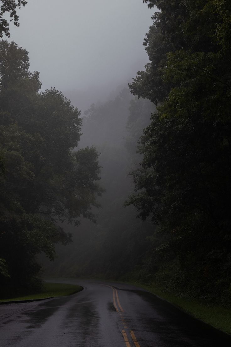 Foggy morning in the mountains Aesthetic Nature Mountains, Me As Weather, Fog And Rain Aesthetic, Mountain At Night Aesthetic, Foggy Mountains Aesthetic, Grey Theme Aesthetic, Gloomy Nature Aesthetic, Foggy Mountain Aesthetic, Woods Aesthetic Dark