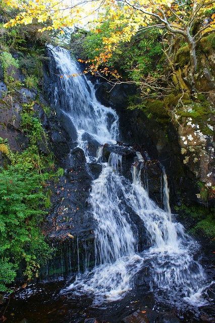 a waterfall in the middle of a forest with lots of trees and leaves around it