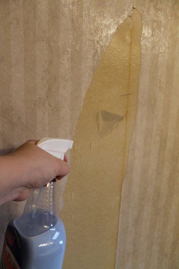 a person holding a spray bottle in their hand and spraying it on the bathroom wall