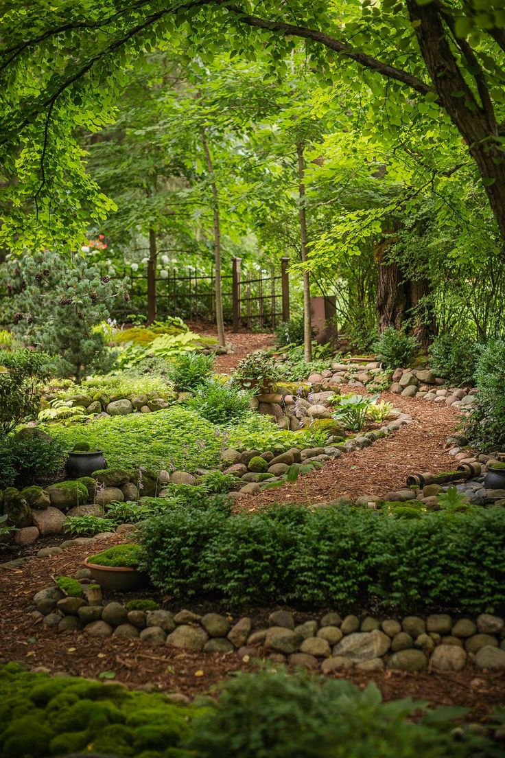 a lush green forest filled with lots of trees and bushes next to a dirt path