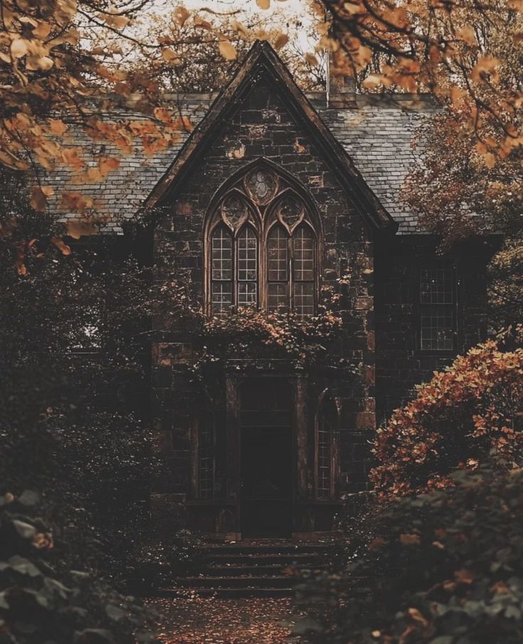 an old house in the woods surrounded by trees with leaves on it's branches