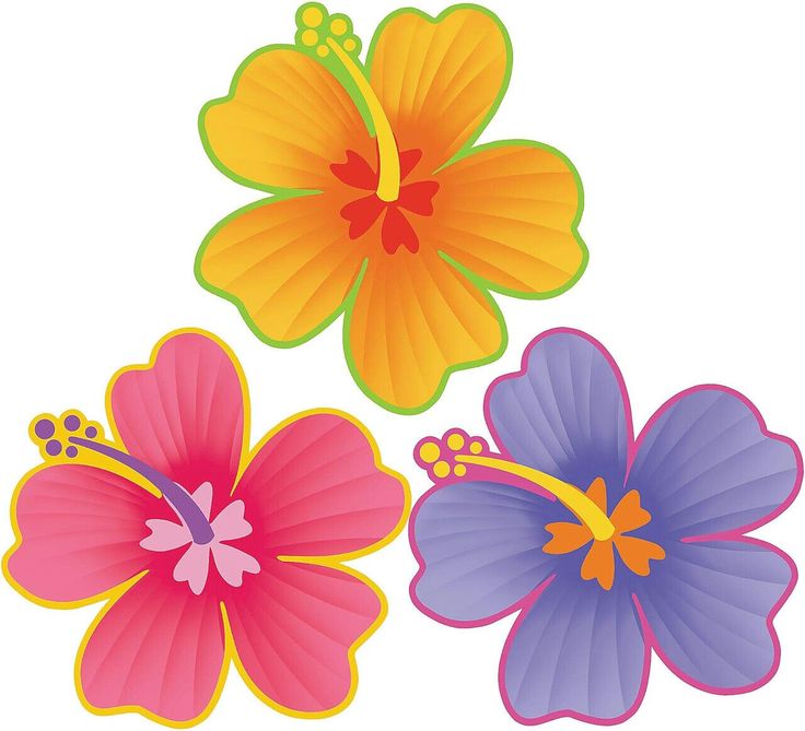 three different colored flowers on a white background