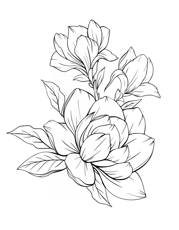 a black and white drawing of flowers