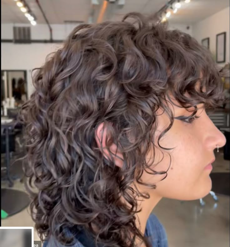 Curly Shag Mullet Haircut, Curly Shag Mullet, Shag Mullet Haircut, Long Naturally Curly Hair, Curly Hair Shag, Shaggy Curly Hair, Hair Shag, Shag Mullet, Curly Shag