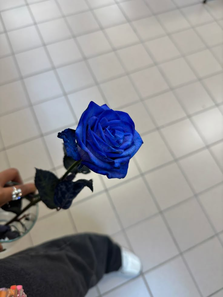 a person holding a blue rose in their hand on a tiled floor with white tiles