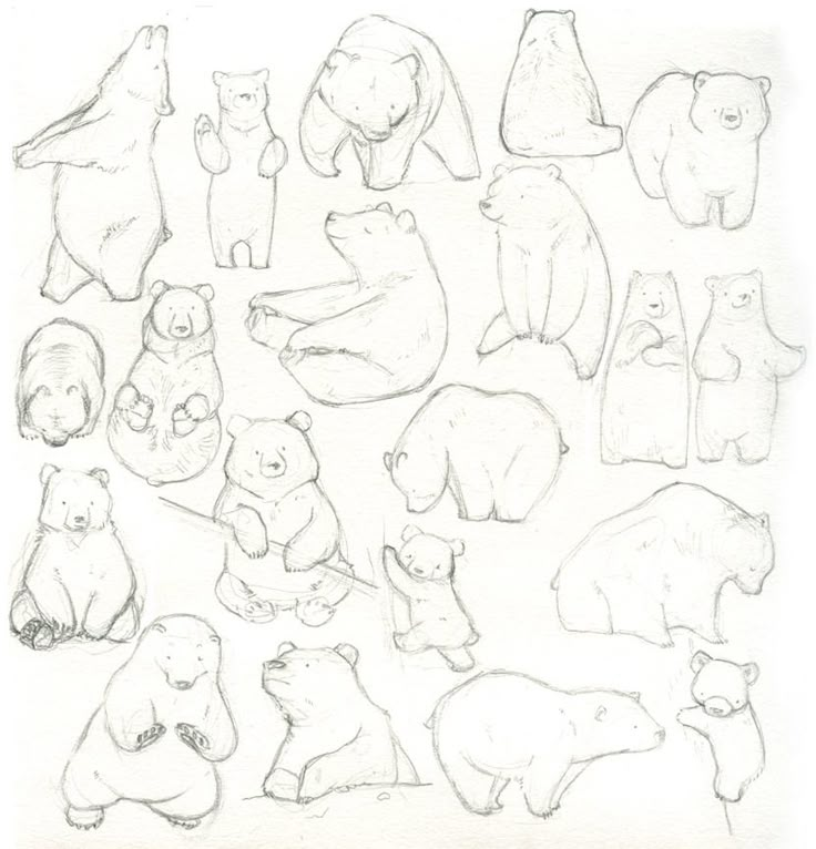 a drawing of various bears and cubs