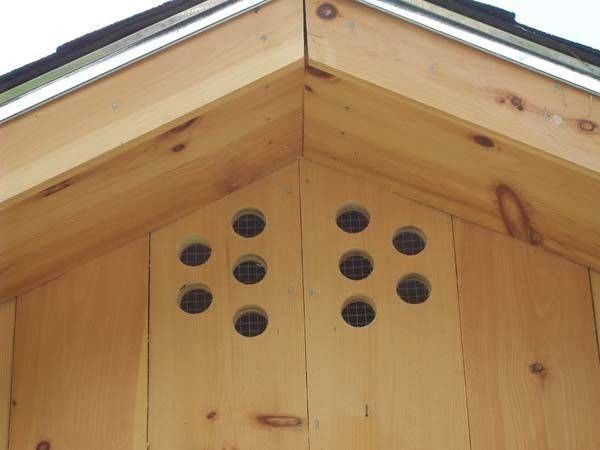 a close up view of the top of a wooden building with holes in it's roof