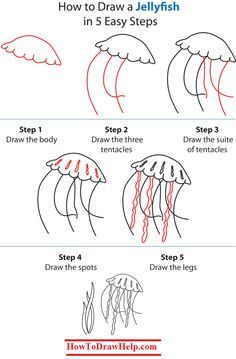 how to draw jellyfish step by step instructions for children and adults in easy steps