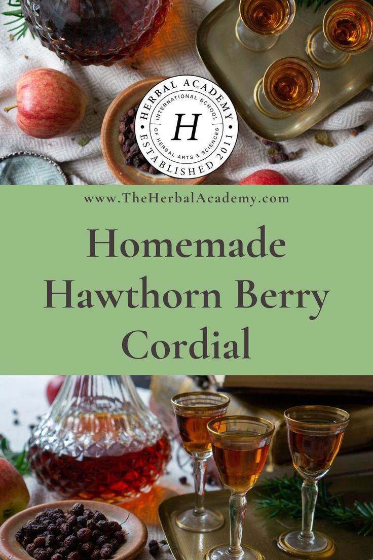 homemade hawthorn berry cordial recipe on a table