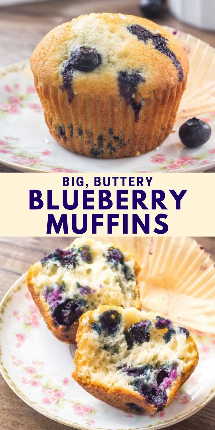 blueberry muffins on a plate with the words, the absolute best blueberry muffins