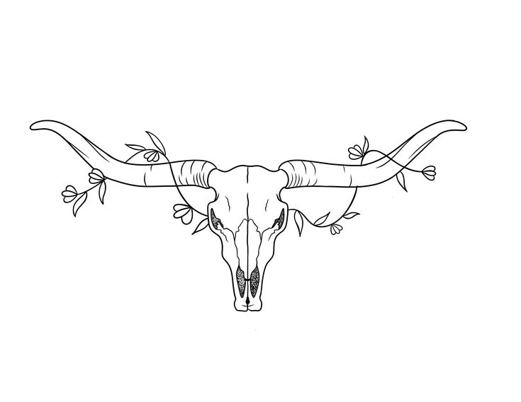 the long horn steer is drawn in black and white