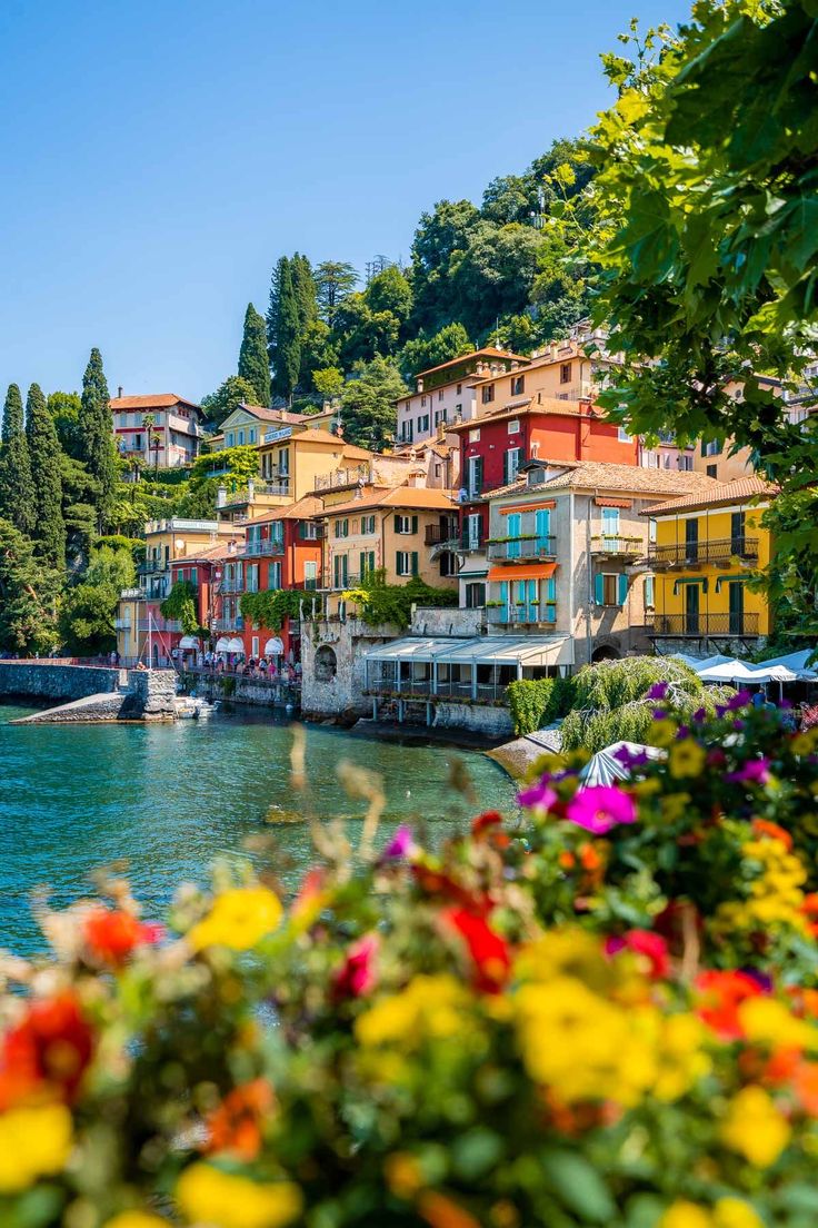 colorful houses on the shore of a lake with flowers growing in foreground and trees surrounding them