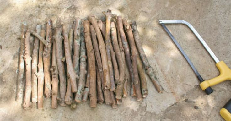 a bunch of sticks are laying on the ground next to a hammer and pliers