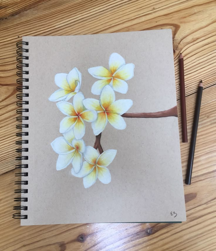 a drawing of some flowers on a piece of paper next to a pen and pencil