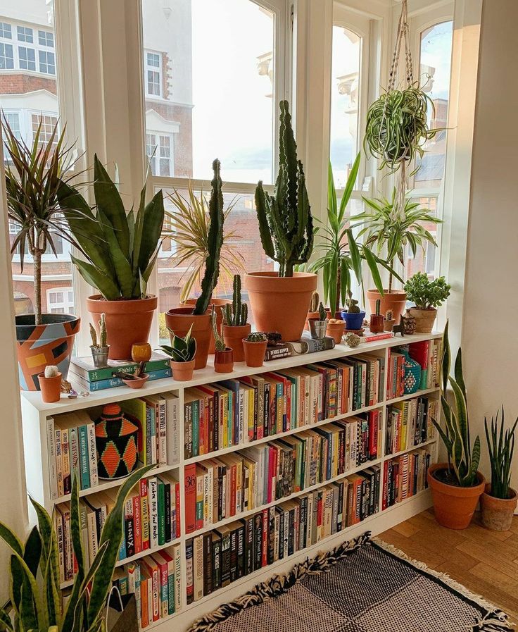 many houseplants are on top of the bookshelf