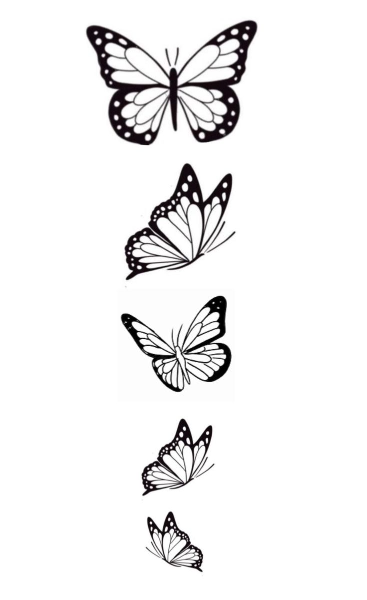 three butterflies flying in different directions