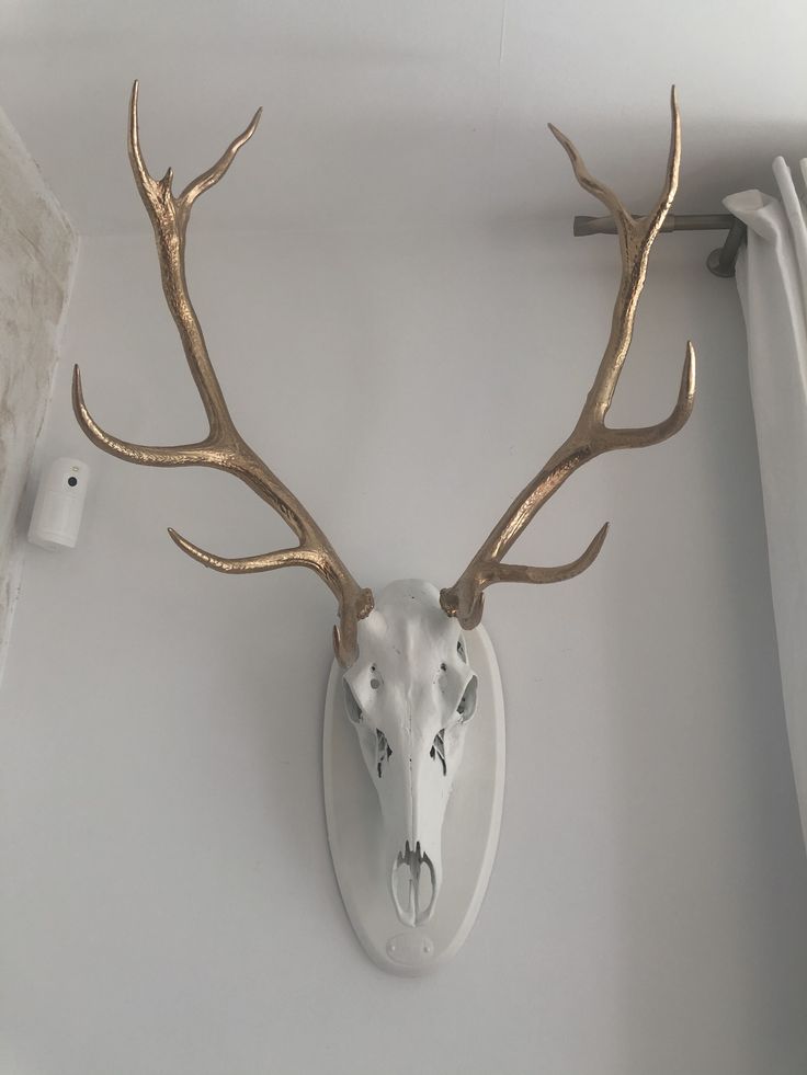 a deer's head mounted to the side of a wall with gold antlers