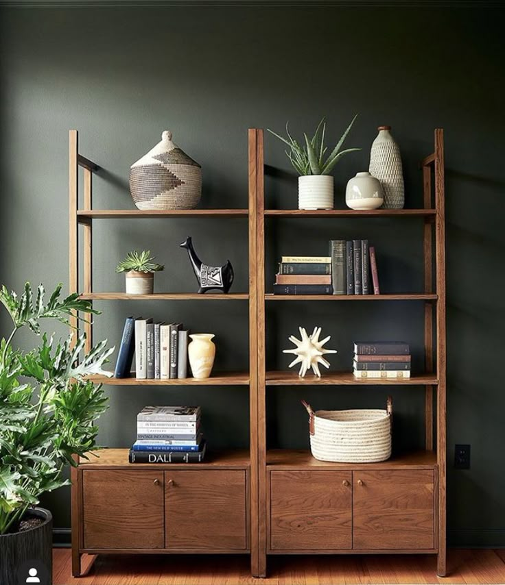 a bookshelf filled with lots of books next to a potted plant on top of a wooden shelf