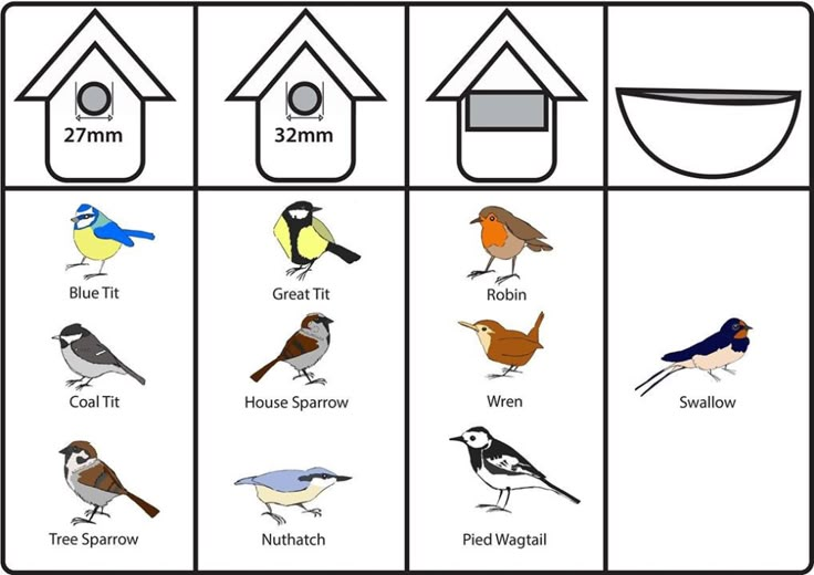 the different types of birds are shown in this diagram, and each bird has its own house