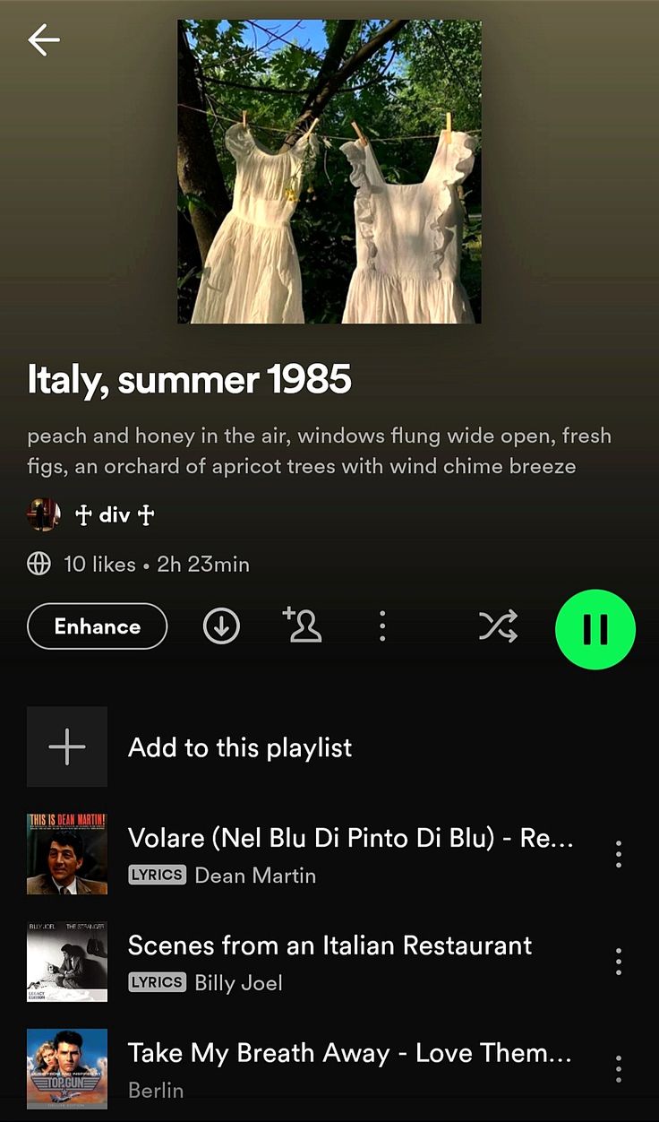 an iphone screen with the text italy summer 1965 and two dresses hanging from a tree