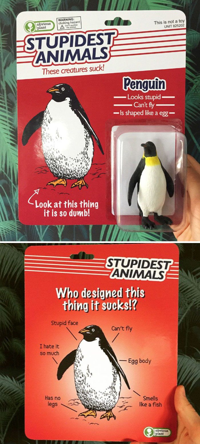 two penguin magnets are shown in the same package