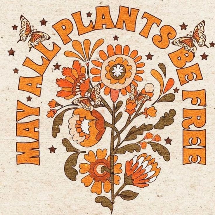 an orange and white flower with the words plant's be here written in it