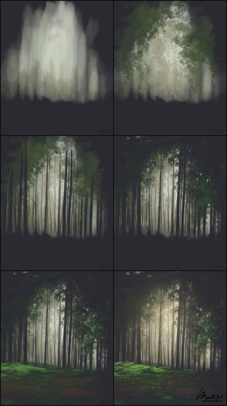 four different shots of trees in the woods with fog and light coming from behind them