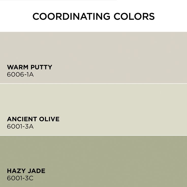 the color scheme for coordinating colors