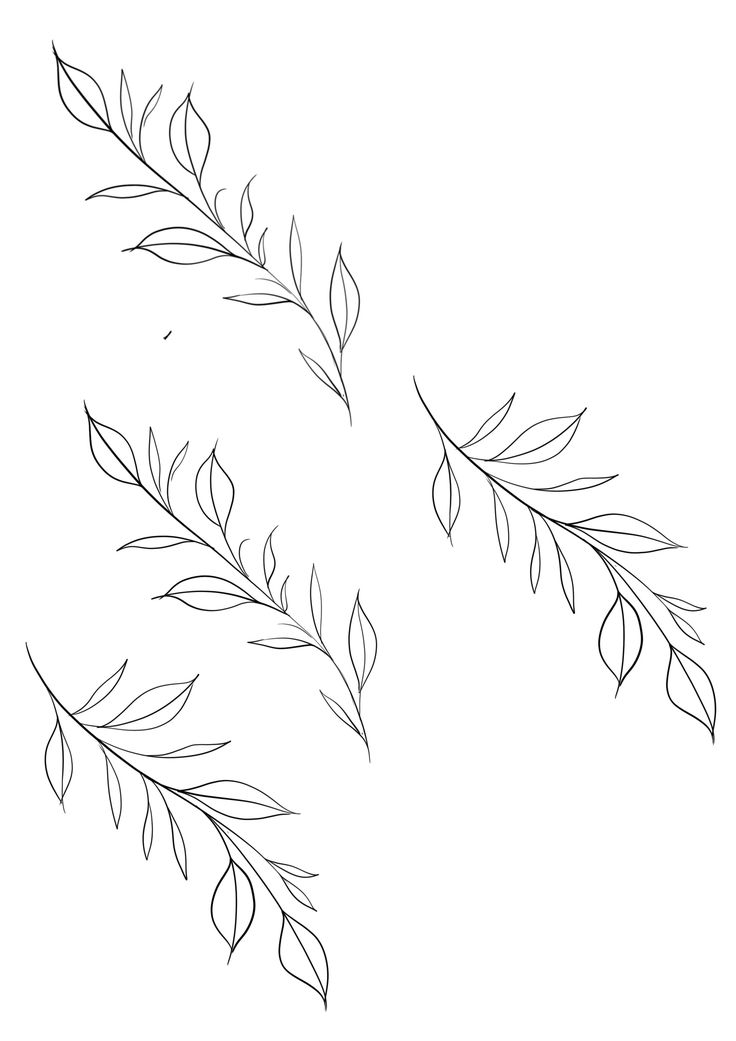 three branches with leaves are shown in black and white