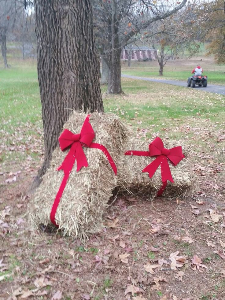 two hay bales with red bows tied to them sitting in the grass near a tree