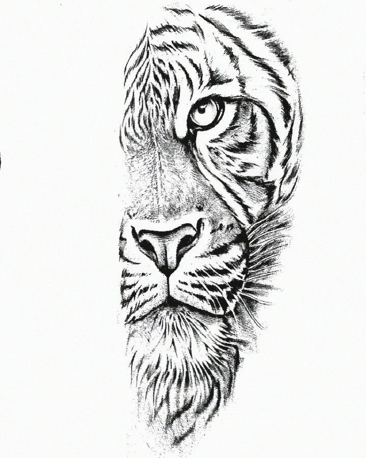 a black and white drawing of a tiger's face