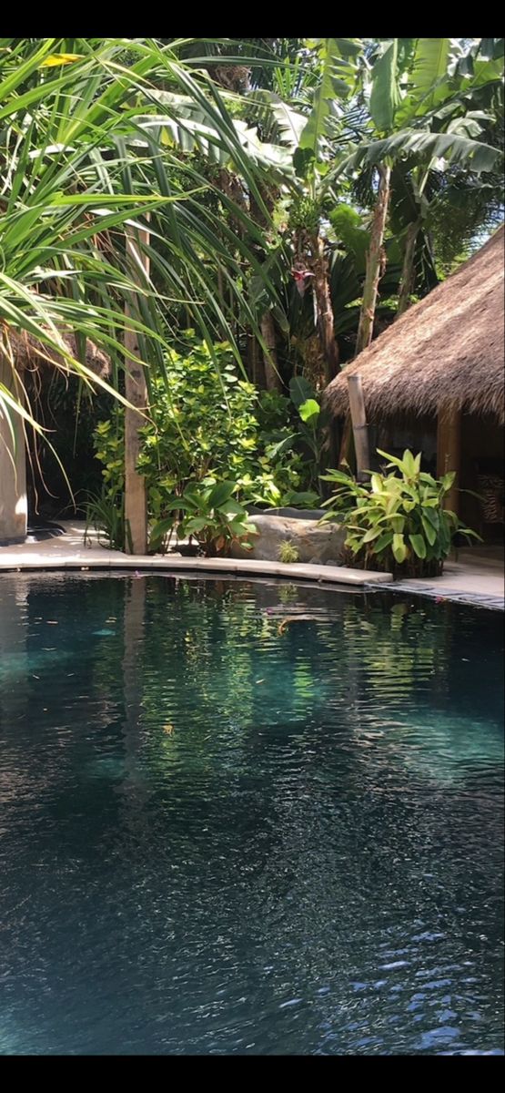 an outdoor pool surrounded by tropical vegetation and palm trees in the foreground, with thatched huts on either side