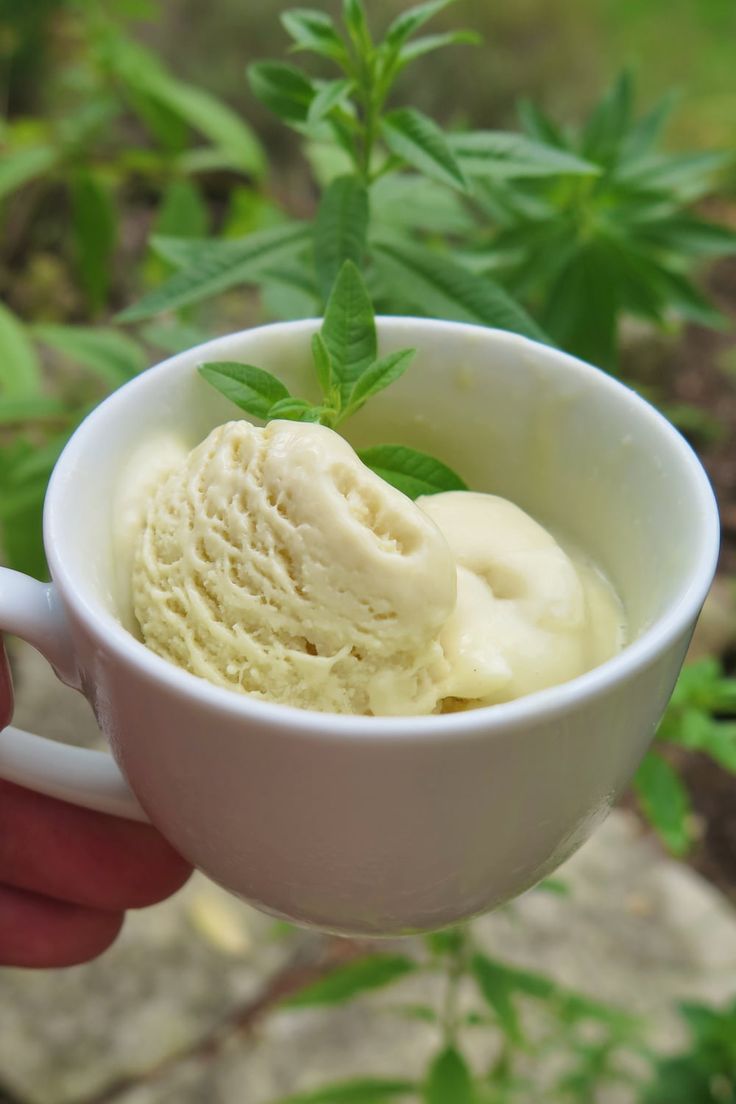 a hand holding a white cup filled with ice cream and green leaf sprigs